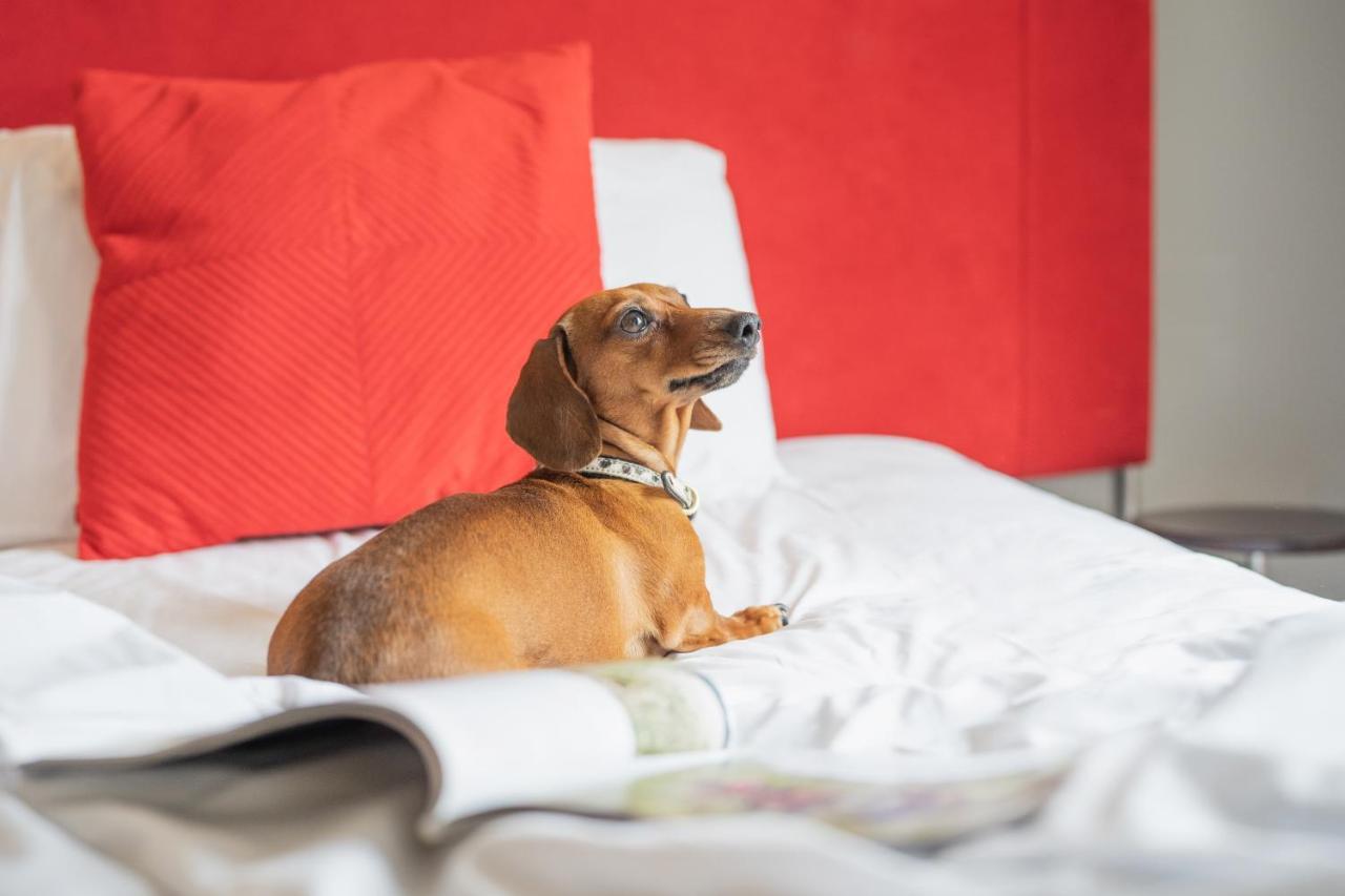 ザ クリフトン ホテル ブリストル エクステリア 写真